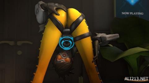 全联盟的故 全联盟的故