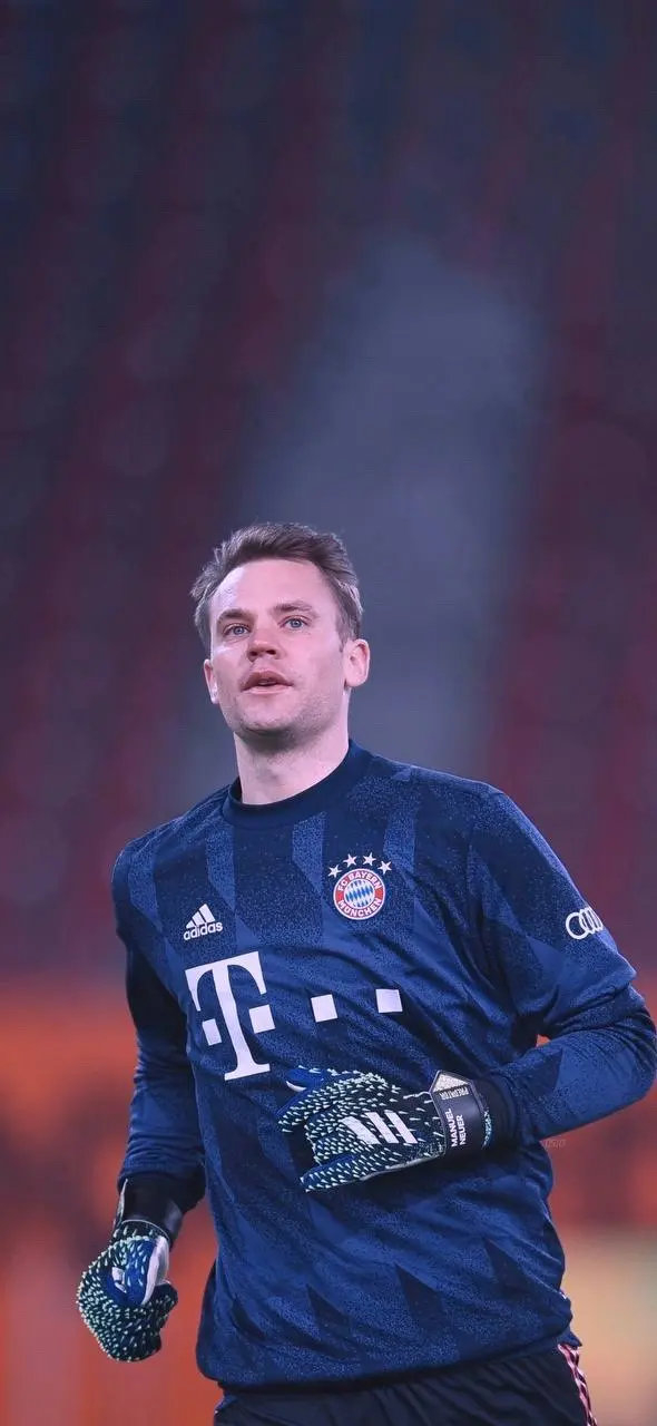 迷和媒体的 迷和媒体的